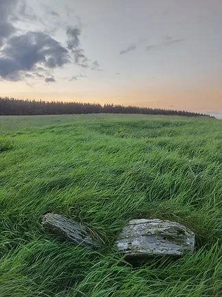 Image 32