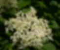  Untitled design (14).png