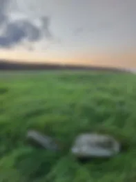 Image 16