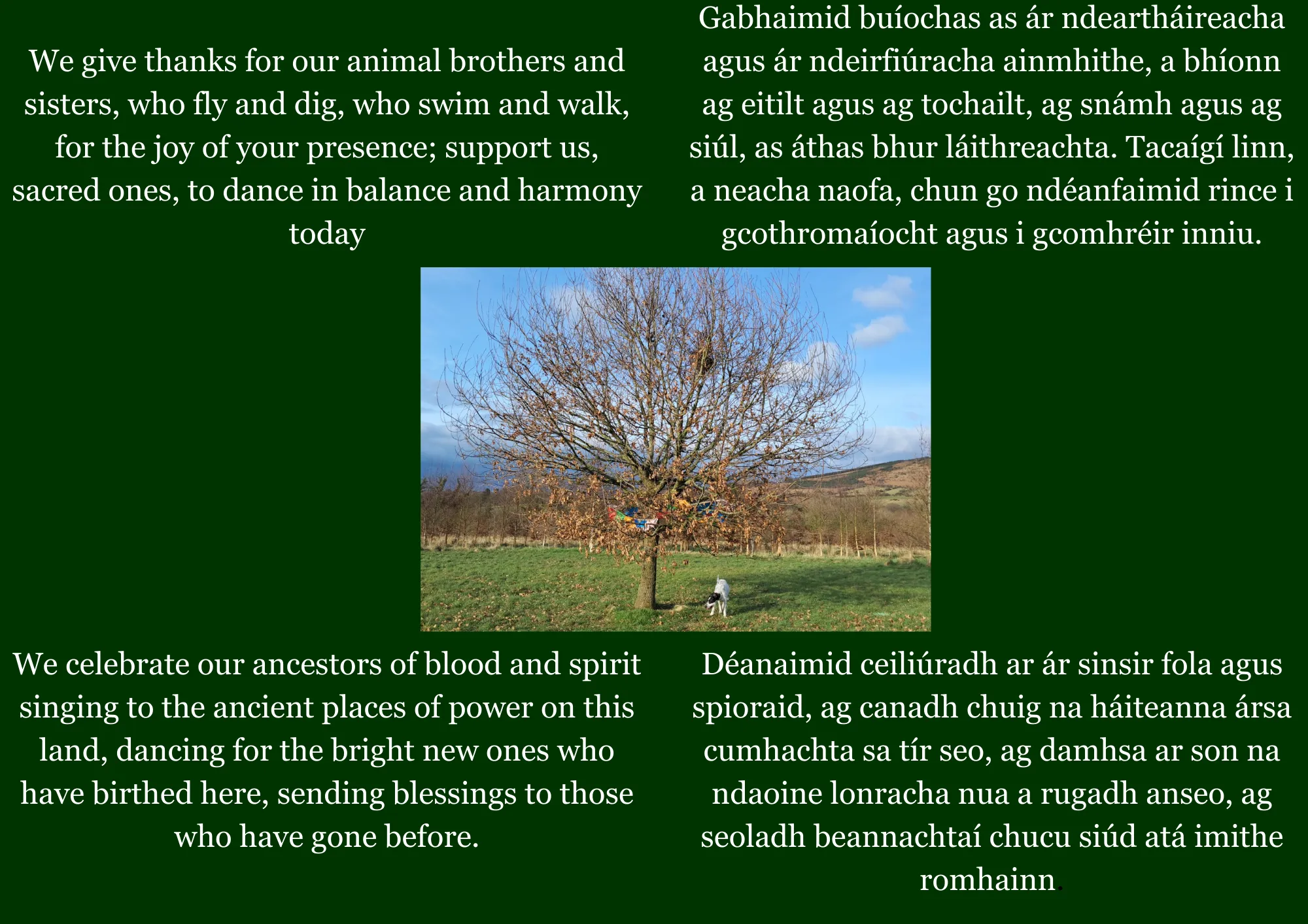 Image 21: Spring  Equinox Prayers 2025